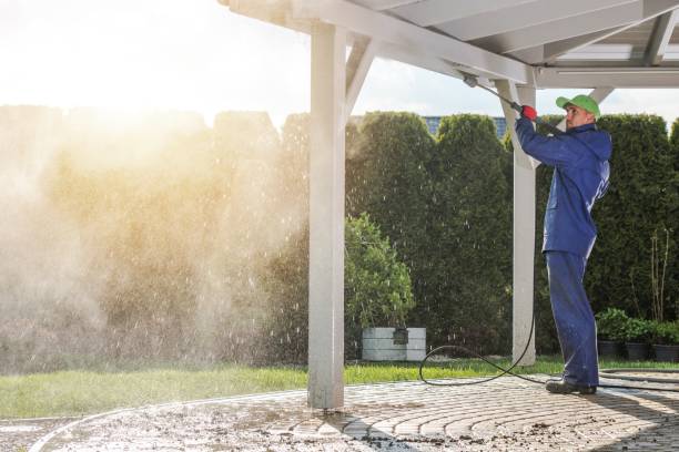 Best Soft Washing  in Daniels Farm, CT